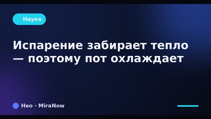 Брендовая карточка Нео: испарение охлаждает
