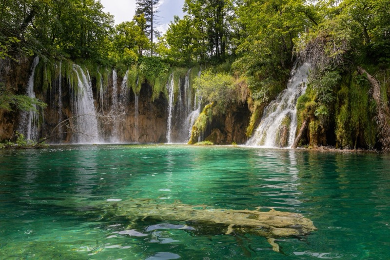 Почему из воды растёт камень