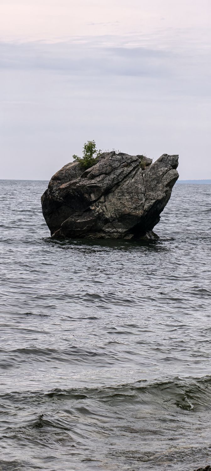 Каменная Черепаха в воде — на панцире растёт берёзка