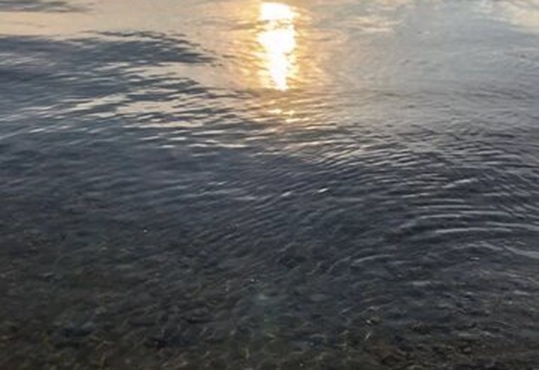 Солнце над водой, прозрачная вода у берега